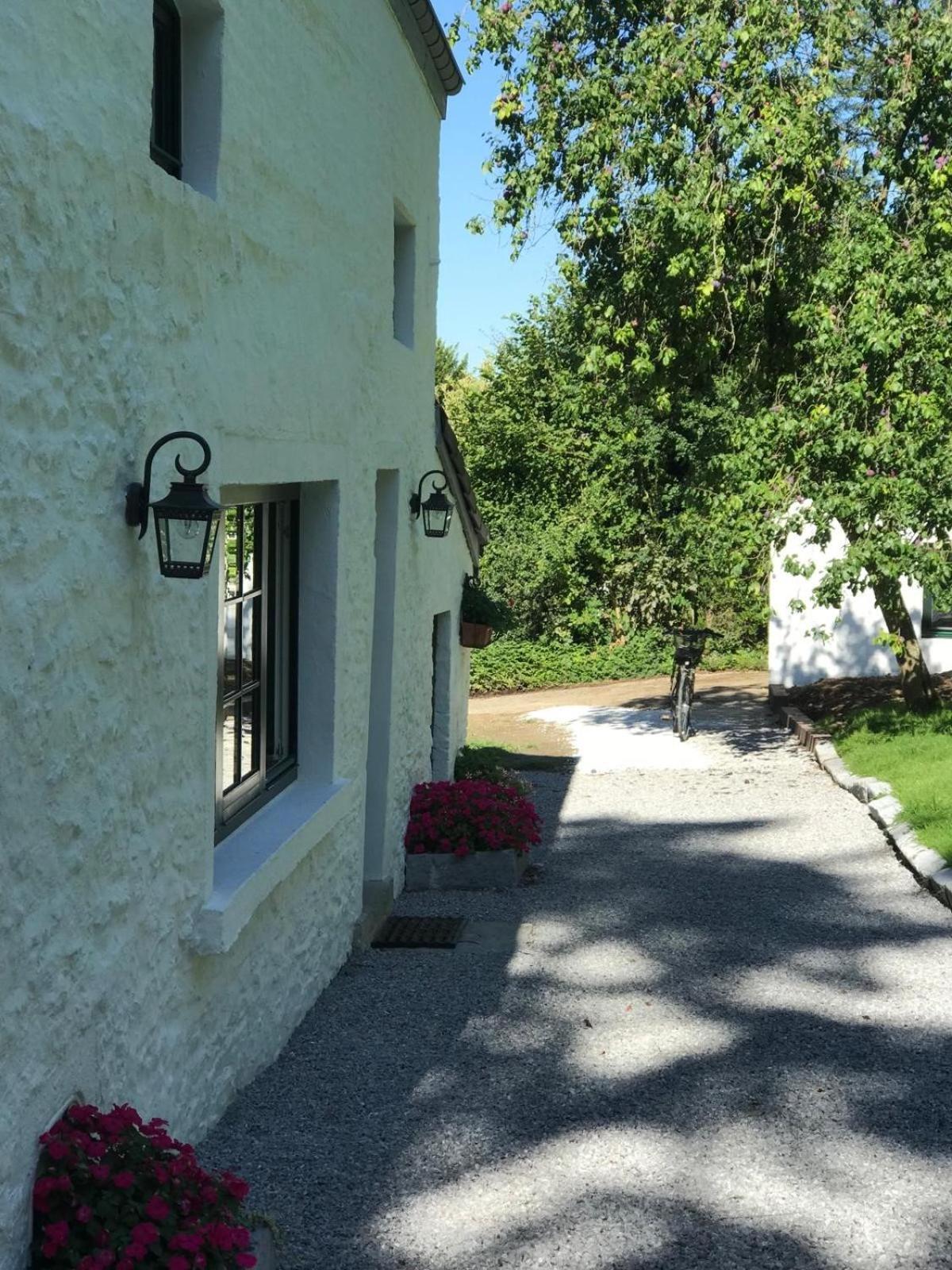 La Petite Maison Blanche Wanze Dış mekan fotoğraf