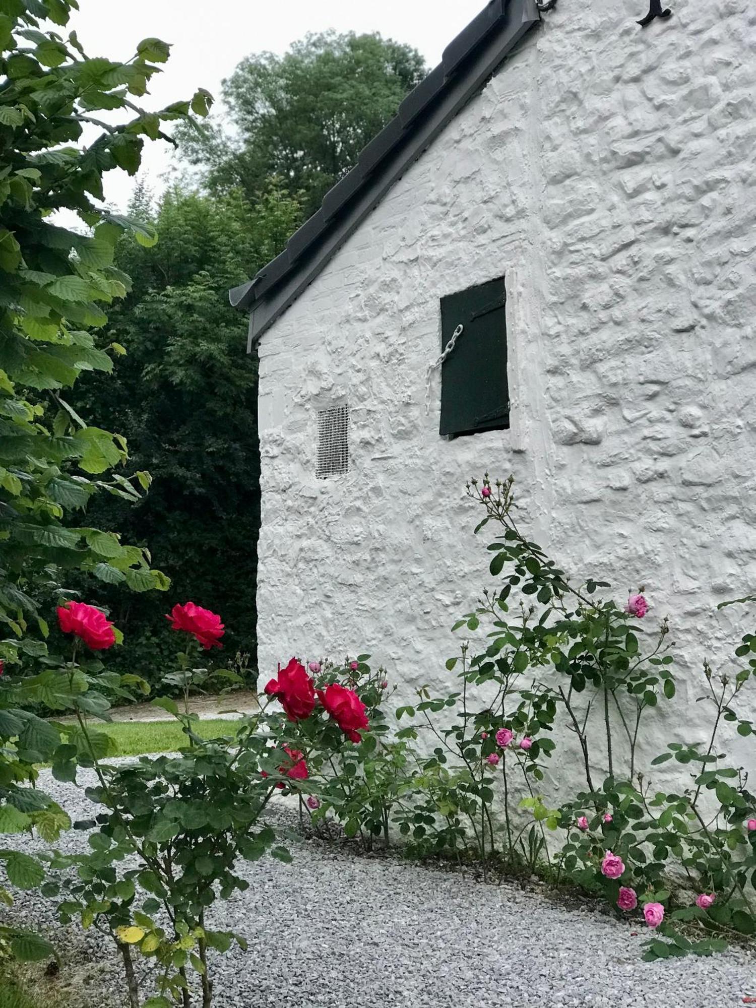 La Petite Maison Blanche Wanze Dış mekan fotoğraf